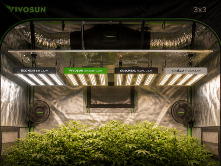 8 Best Grow Lights for 3×3 Tent 2026