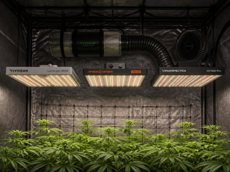 8 Best Grow Lights for 3×3 Tents 2026