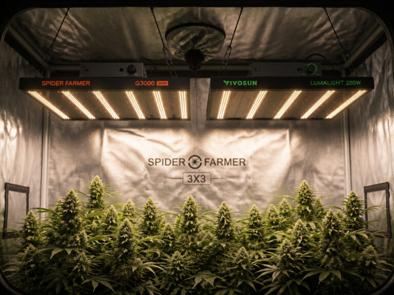 8 Best Lights for 3×3 Grow Tent 2026