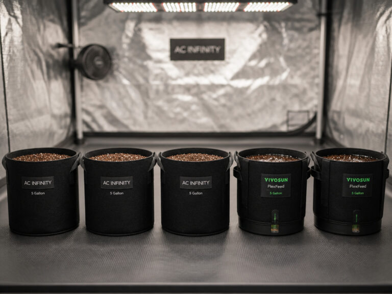 2 Best Pots for Grow Tents 2026