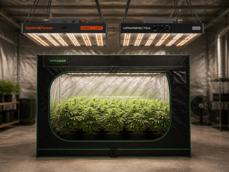 7 Best Grow Lights for 3×5 Tent 2026